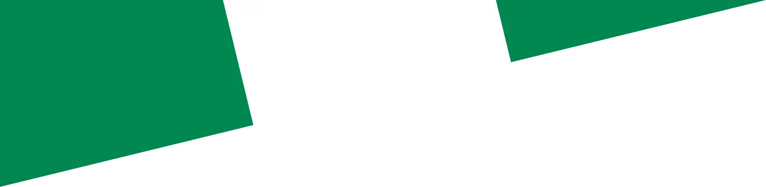 Nigeria flag